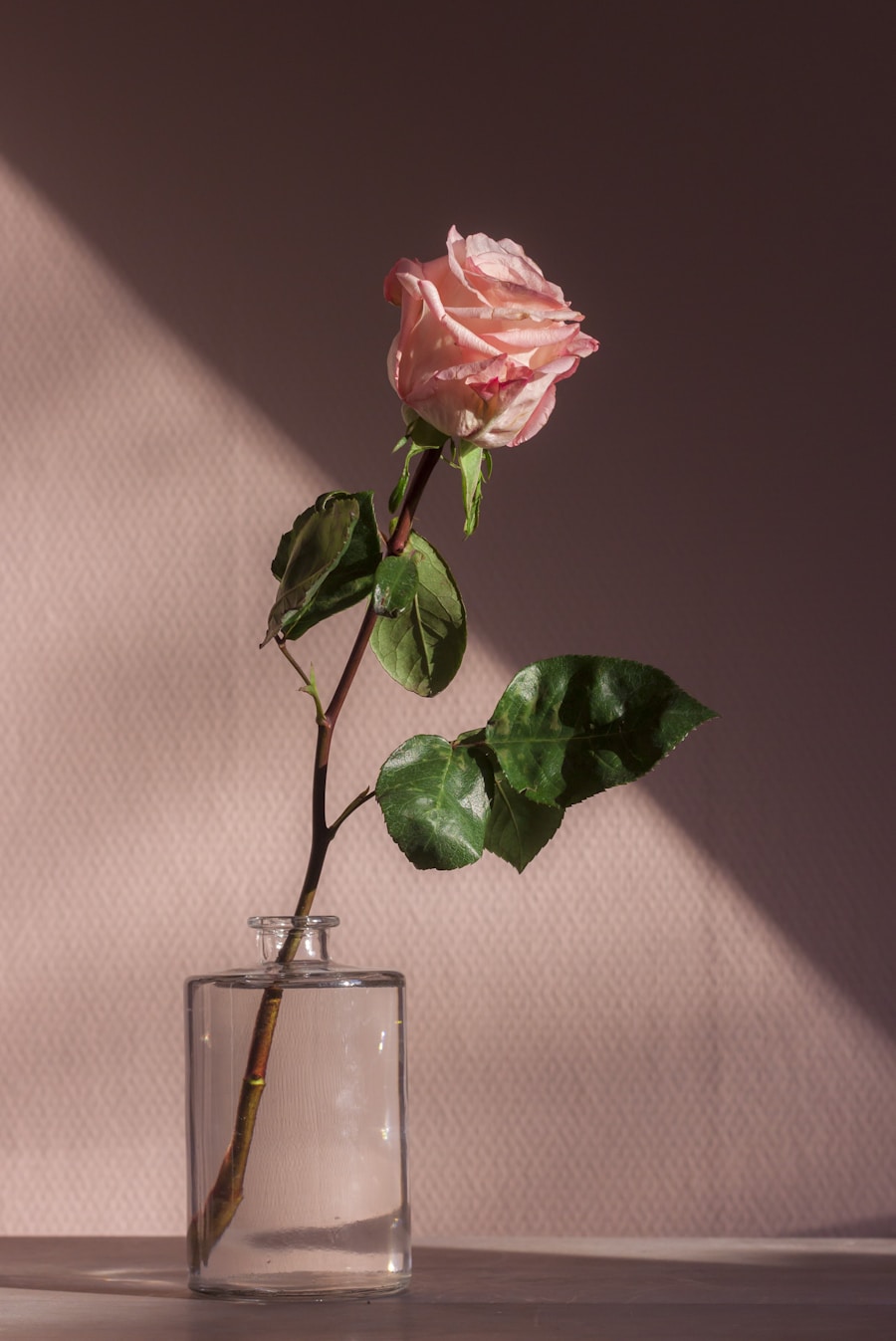 Light translucent real flower photograph for Normal Tees